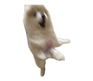 857813679