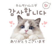 857813898