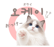 857813900