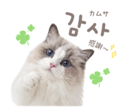 857813902