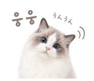 857813903