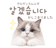 857813904