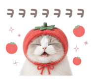 857813911