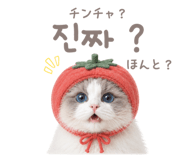 857813913