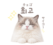 857813915