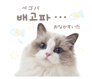 857813918