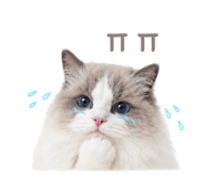 857813919
