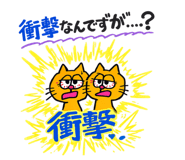 857814614