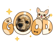 857815244