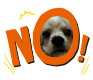 857815248
