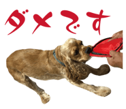 857815251