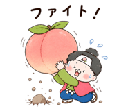 857816206