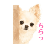 857819978