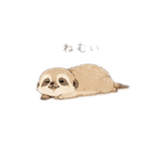 857820528