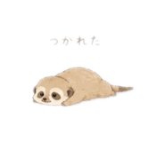 857820529