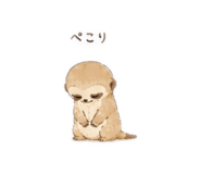 857820532