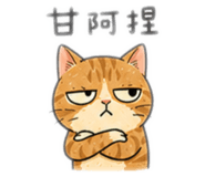 857823629