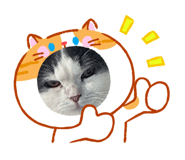 857824593