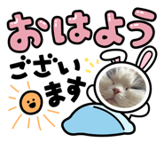 857824598