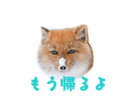 857825108
