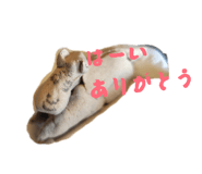 857825110