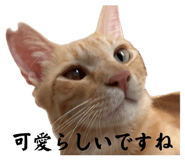 857825322