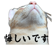 857825325