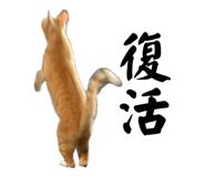 857825336
