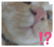 857825344