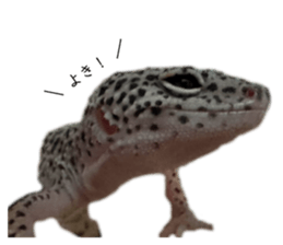 857831365