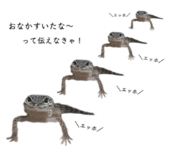 857831371