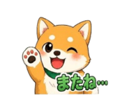 857834384