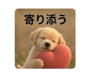 857834524