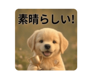 857834532