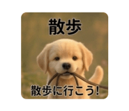 857834545
