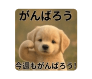 857834547