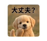 857834552
