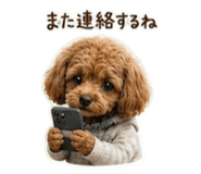 857835404