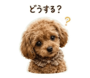 857835405
