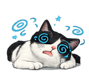 857838429