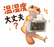 857840643