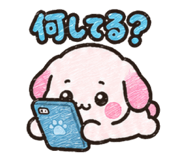 857842481