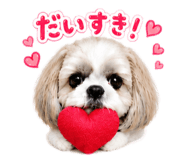 857846785