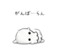857847077