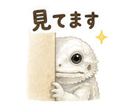 857847117