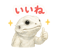 857847123