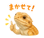 857847127