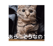 857847270