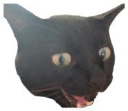 857847280