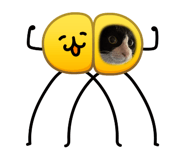 857847285
